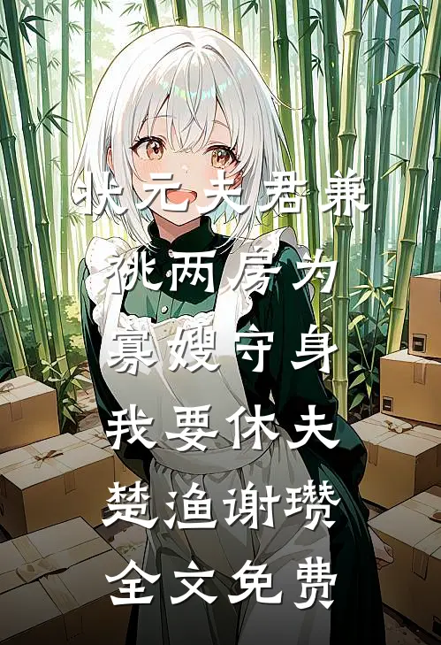 状元夫君兼祧两房为寡嫂守身，我要休夫楚渔谢瓒全文免费