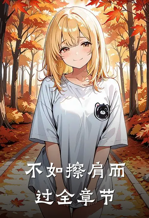 不如擦肩而过全章节