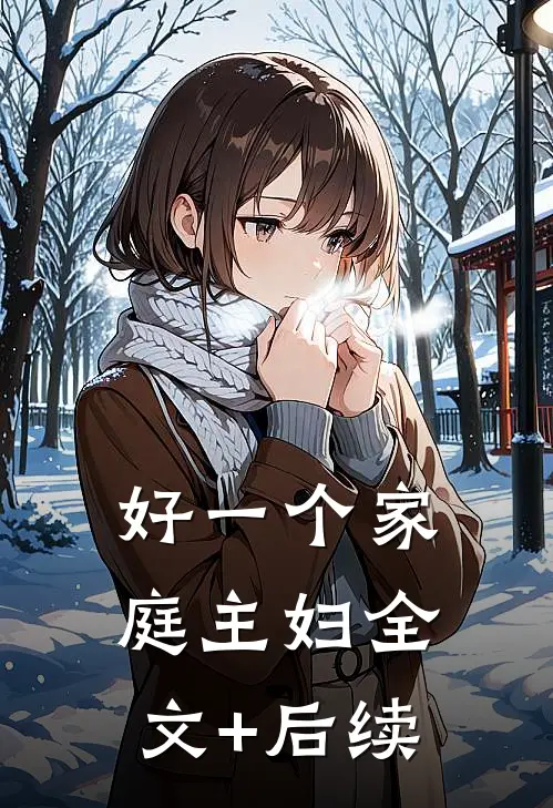 好一个家庭主妇全文+后续