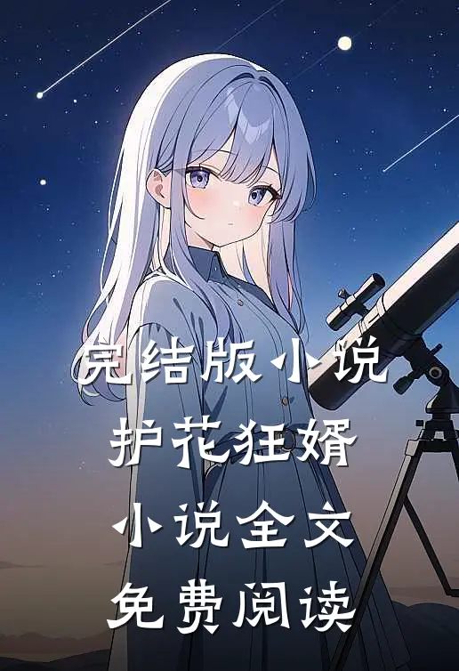完结版小说护花狂婿小说全文免费阅读