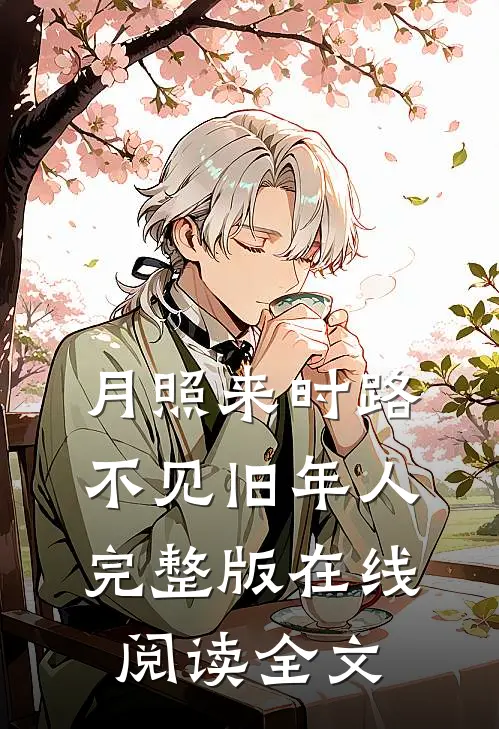 月照来时路，不见旧年人完整版在线阅读全文