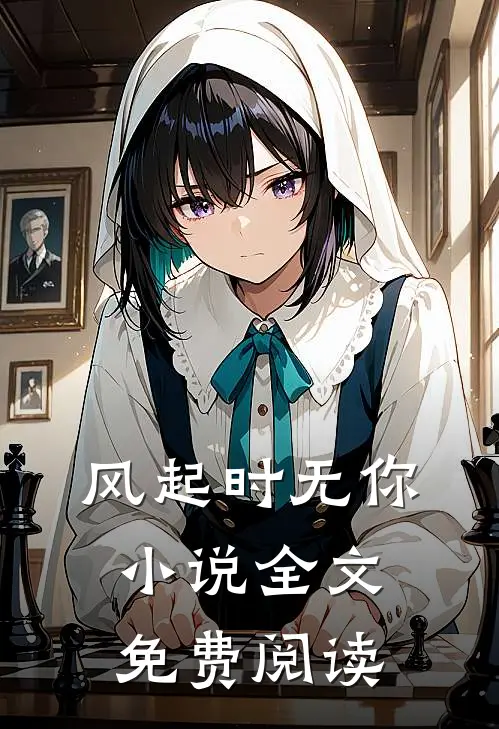 风起时无你小说全文免费阅读
