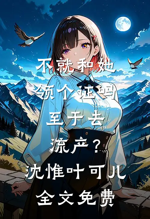 不就和她领个证吗，至于去流产？沈惟叶可儿全文免费