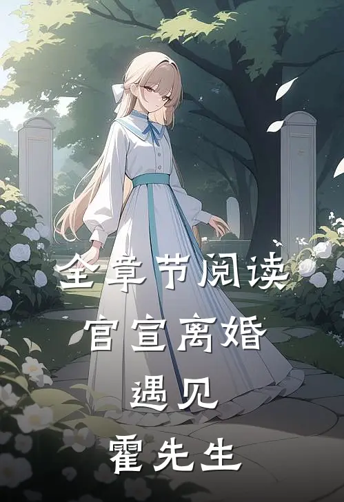全章节阅读官宣离婚：遇见，霍先生