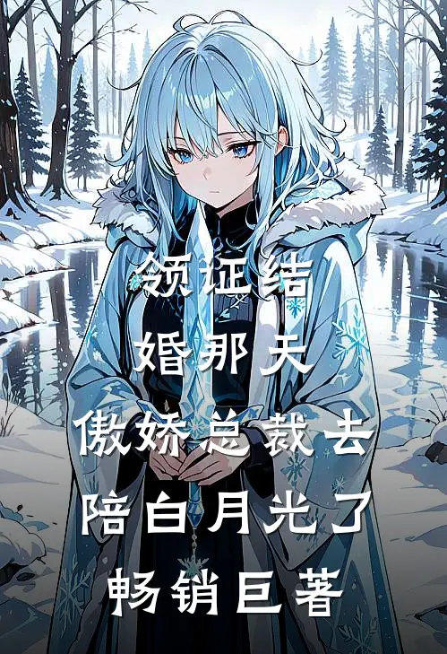 领证结婚那天，傲娇总裁去陪白月光了畅销巨著
