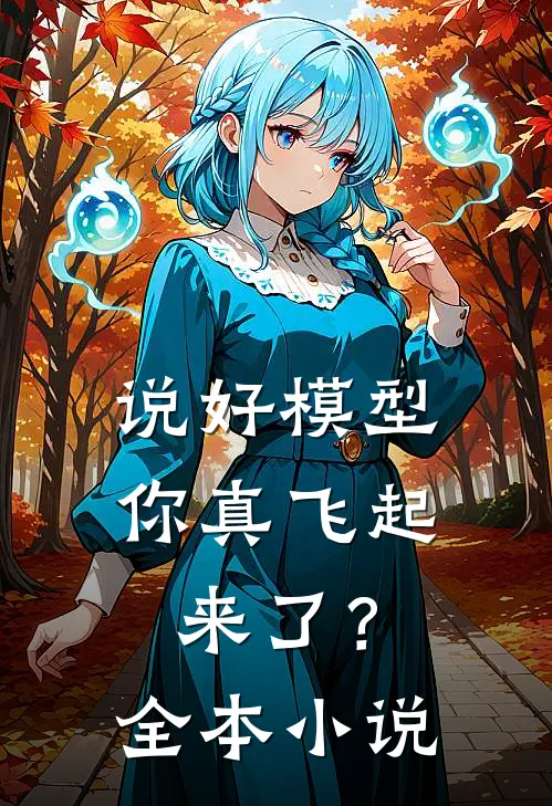 说好模型，你真飞起来了？全本小说