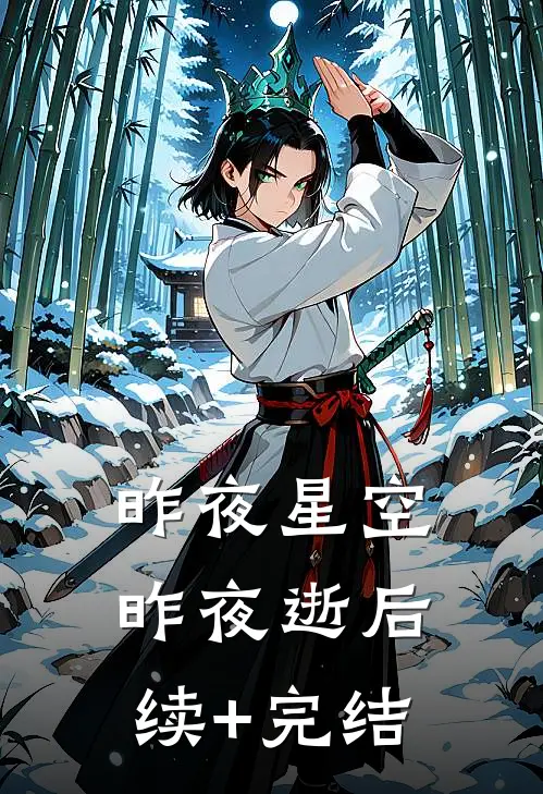 昨夜星空昨夜逝后续+完结