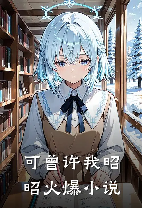 可曾许我昭昭火爆小说