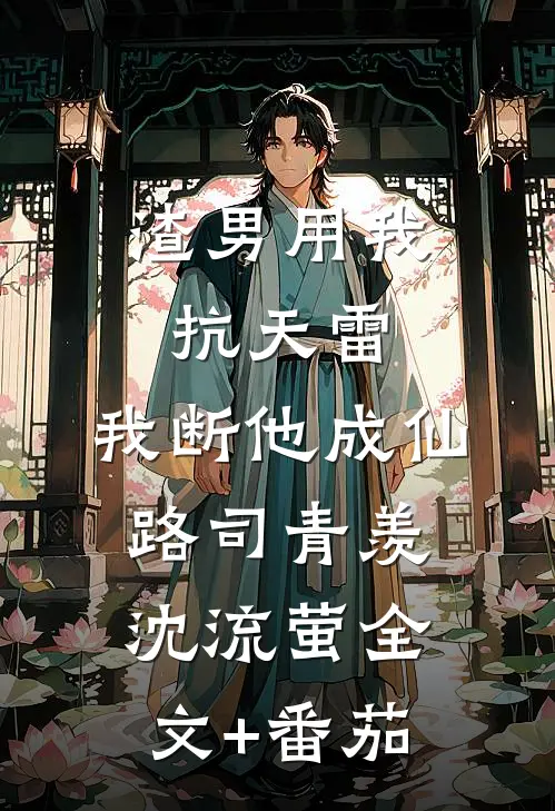 渣男用我抗天雷，我断他成仙路司青羡沈流萤全文+番茄