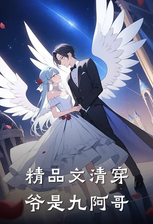 精品文清穿，爷是九阿哥