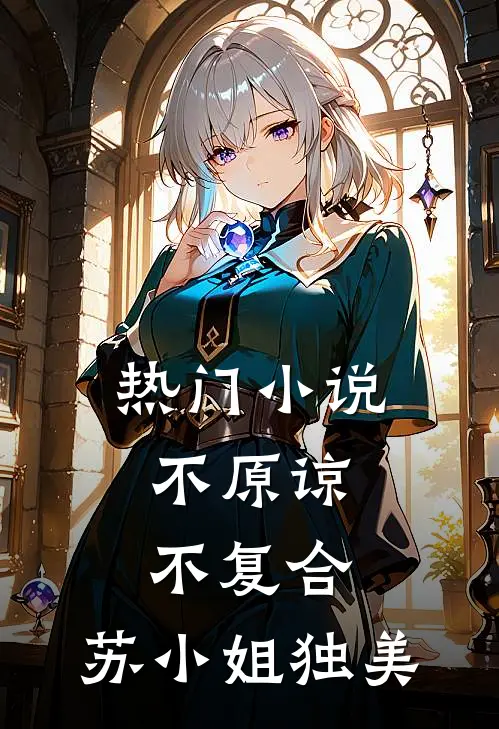 热门小说不原谅，不复合，苏小姐独美