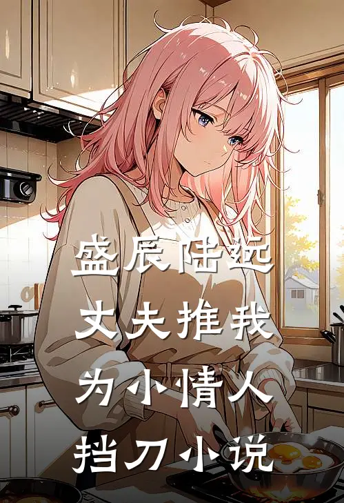 盛辰陆远丈夫推我为小情人挡刀小说