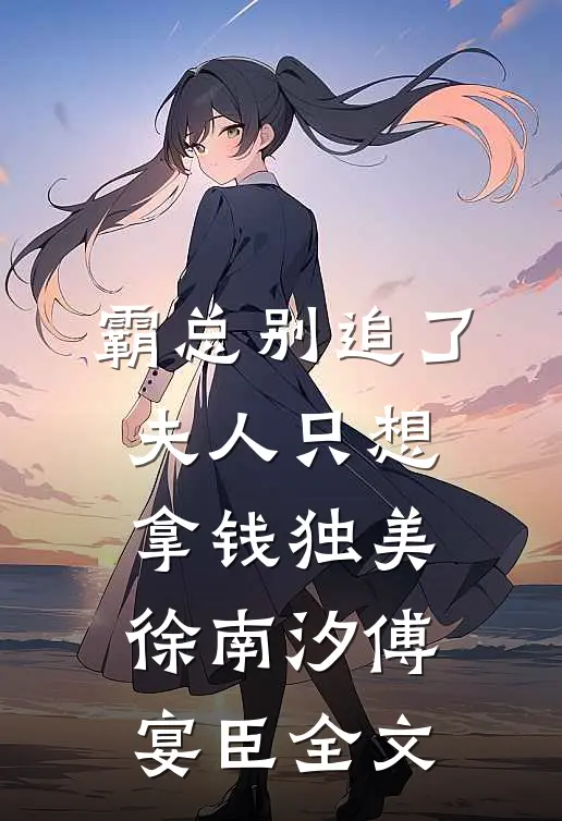 霸总别追了，夫人只想拿钱独美徐南汐傅宴臣全文