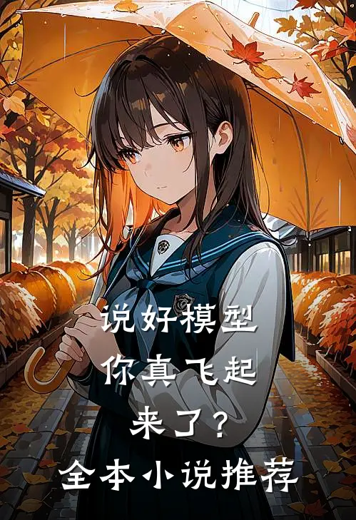说好模型，你真飞起来了？全本小说推荐