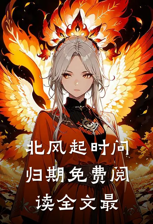 北风起时问归期免费阅读全文最