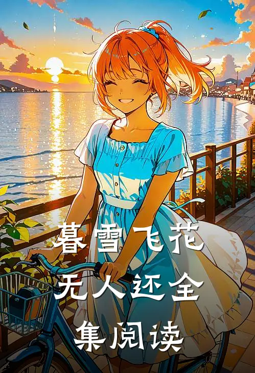 暮雪飞花无人还全集阅读