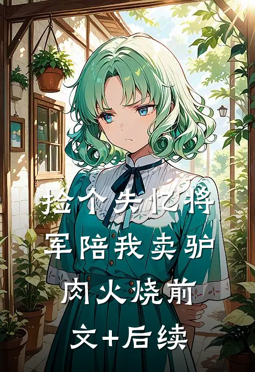 捡个失忆将军陪我卖驴肉火烧前文+后续