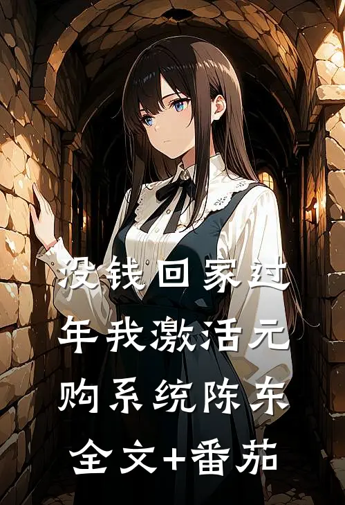 没钱回家过年我激活元购系统陈东全文+番茄