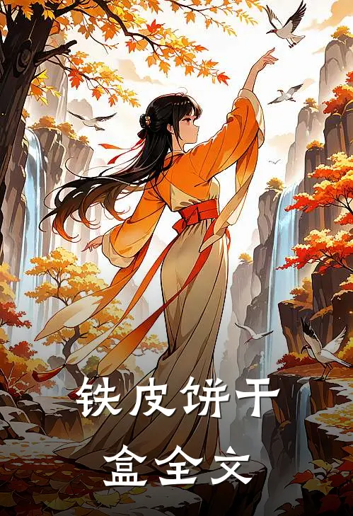 铁皮饼干盒全文