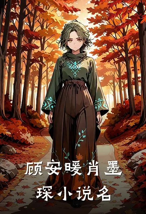 顾安暖肖墨琛的小说